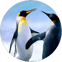 Judy Roger Butterworth profile picture